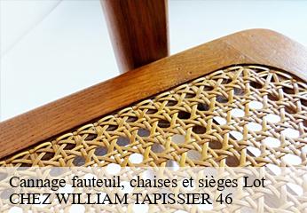 Cannage fauteuil, chaises et sièges 46 Lot  CHEZ WILLIAM TAPISSIER 46