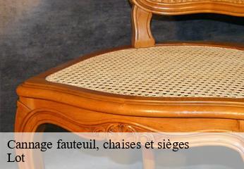 Cannage fauteuil, chaises et sièges 46 Lot  CHEZ WILLIAM TAPISSIER 46