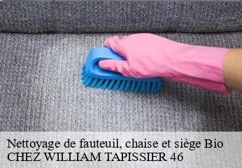 Nettoyage de fauteuil, chaise et siège  bio-46500 CHEZ WILLIAM TAPISSIER 46