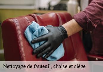 Nettoyage de fauteuil, chaise et siège  senaillac-lauzes-46360 CHEZ WILLIAM TAPISSIER 46